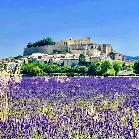 L'olivier * Grignan