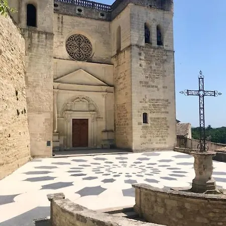 L'olivier * Grignan