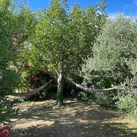 L'olivier גריניאן