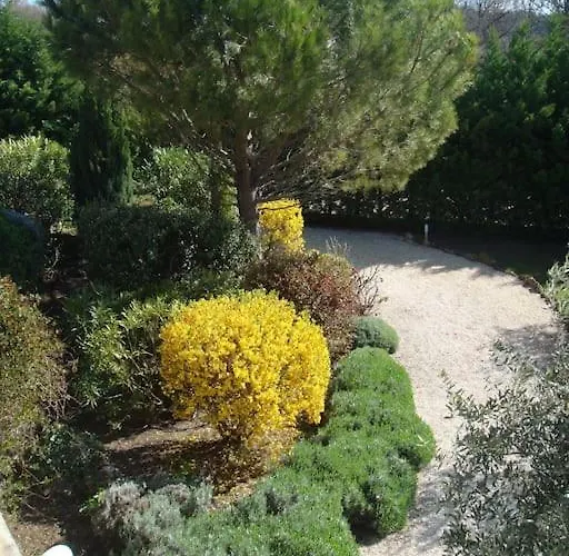 L'olivier גריניאן