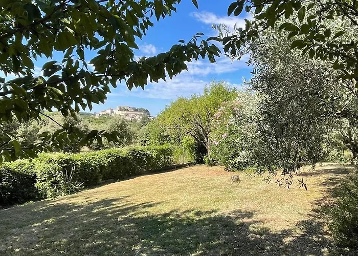 L'olivier דירה