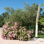 L'olivier