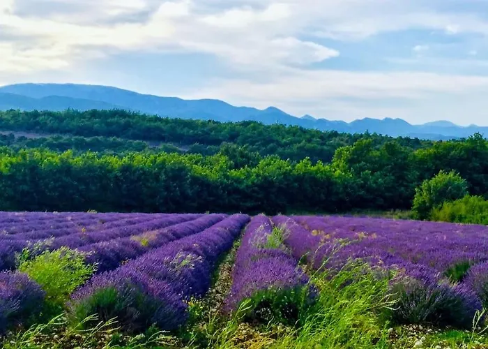 Apartment L'olivier Grignan